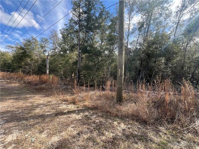 3003 Clearwood Street, Inverness, FL 34452