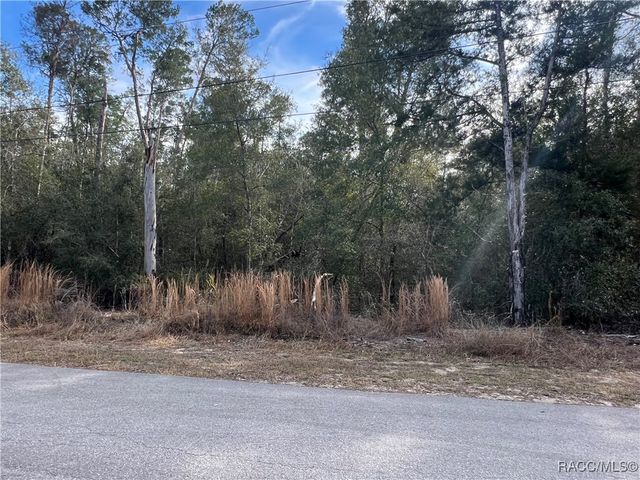 3003 Clearwood Street, Inverness, FL 34452