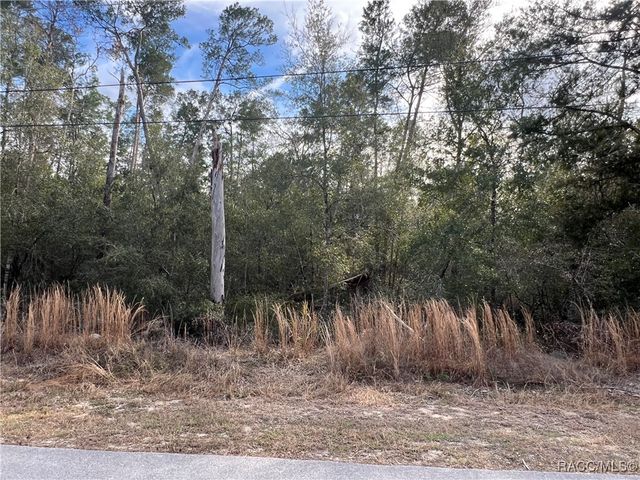 3003 Clearwood Street, Inverness, FL 34452