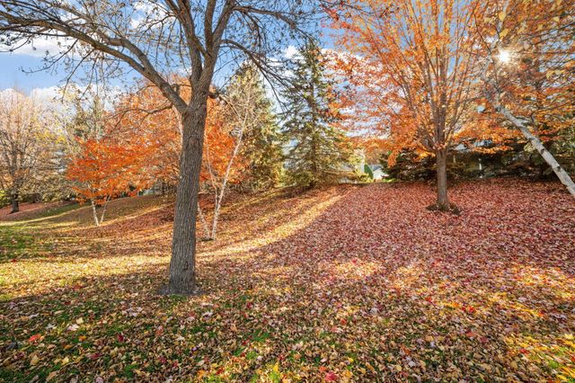 13134 Falcons Way, Savage, MN 55378