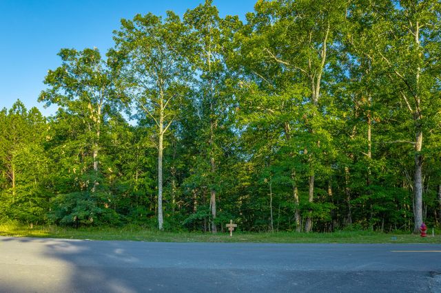 0 Moonlight Lane Jf426, Jasper, TN 37347