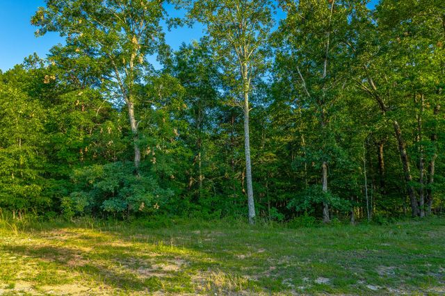 0 Moonlight Lane Jf426, Jasper, TN 37347
