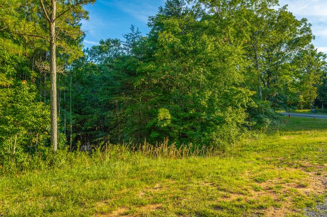 0 Moonlight Lane Jf426, Jasper, TN 37347
