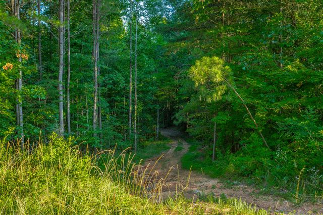 0 Moonlight Lane Jf426, Jasper, TN 37347