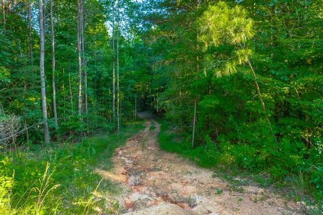 0 Moonlight Lane Jf426, Jasper, TN 37347