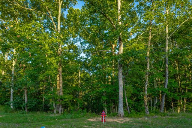 0 Moonlight Lane Jf426, Jasper, TN 37347