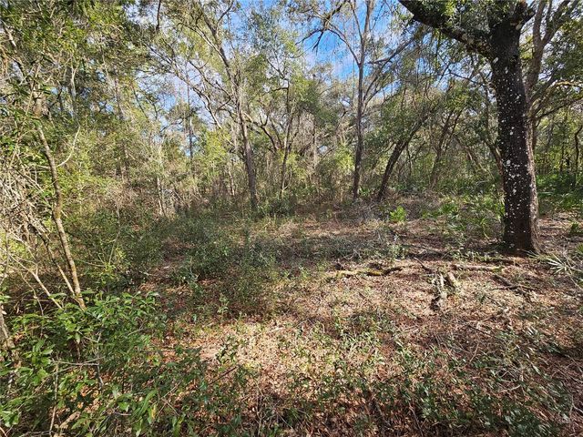 ROSEHILL DRIVE, Webster, FL 33597