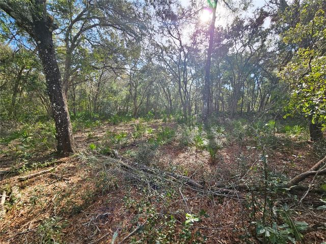 ROSEHILL DRIVE, Webster, FL 33597