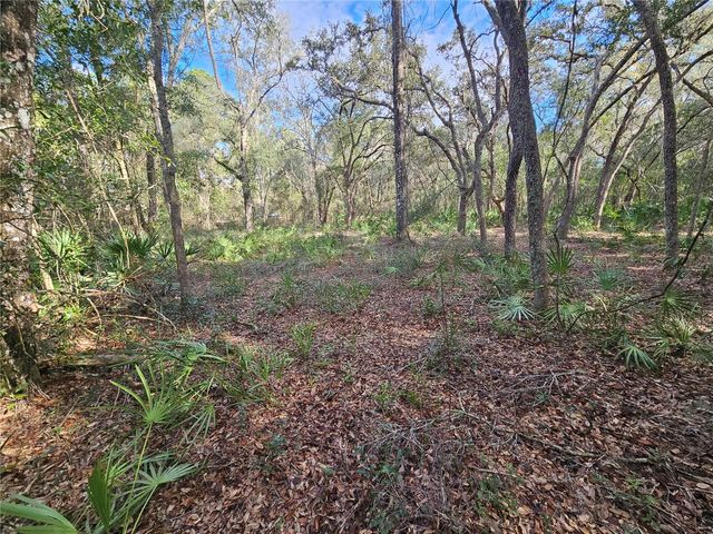 ROSEHILL DRIVE, Webster, FL 33597