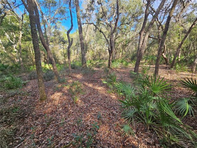 ROSEHILL DRIVE, Webster, FL 33597