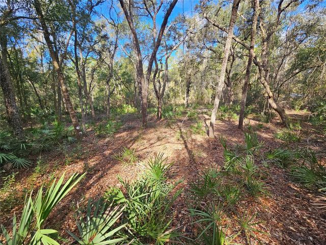 ROSEHILL DRIVE, Webster, FL 33597