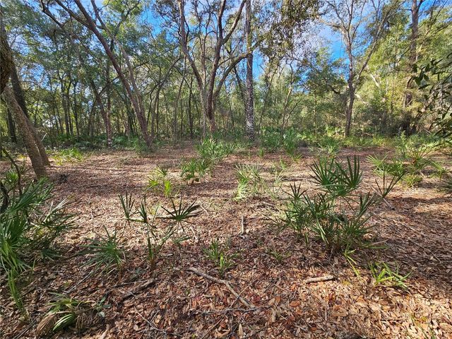 ROSEHILL DRIVE, Webster, FL 33597
