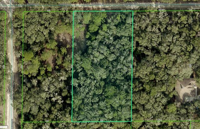 ROSEHILL DRIVE, Webster, FL 33597