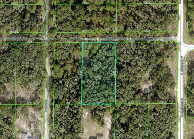 ROSEHILL DRIVE, Webster, FL 33597
