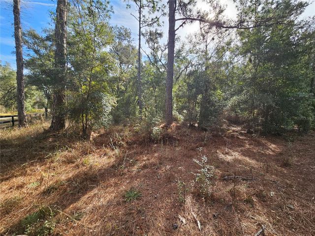 ROSEHILL DRIVE, Webster, FL 33597
