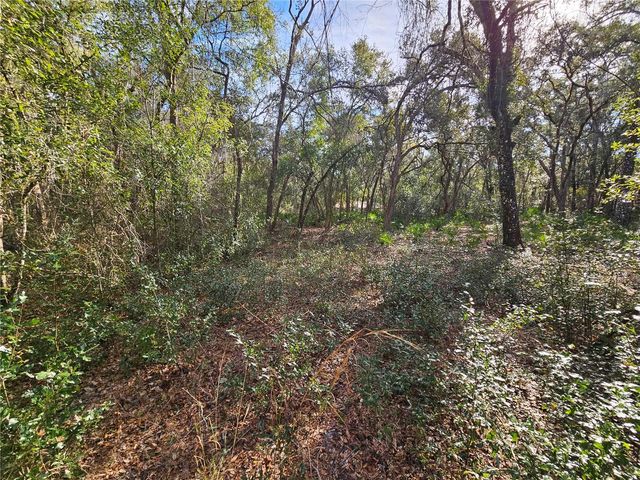 ROSEHILL DRIVE, Webster, FL 33597