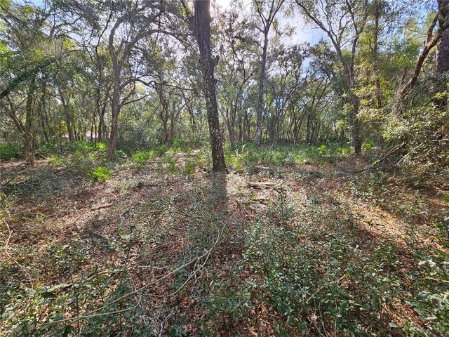ROSEHILL DRIVE, Webster, FL 33597