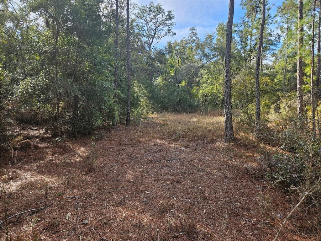 ROSEHILL DRIVE, Webster, FL 33597