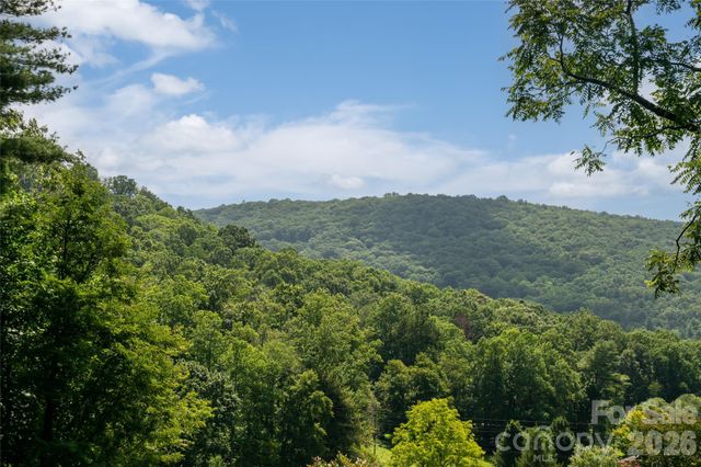 360 Pinners Cove Road, Asheville, NC 28803