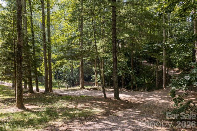 360 Pinners Cove Road, Asheville, NC 28803