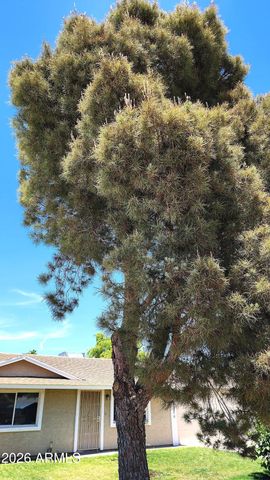 3524 E WINCHCOMB Drive, Phoenix, AZ 85032