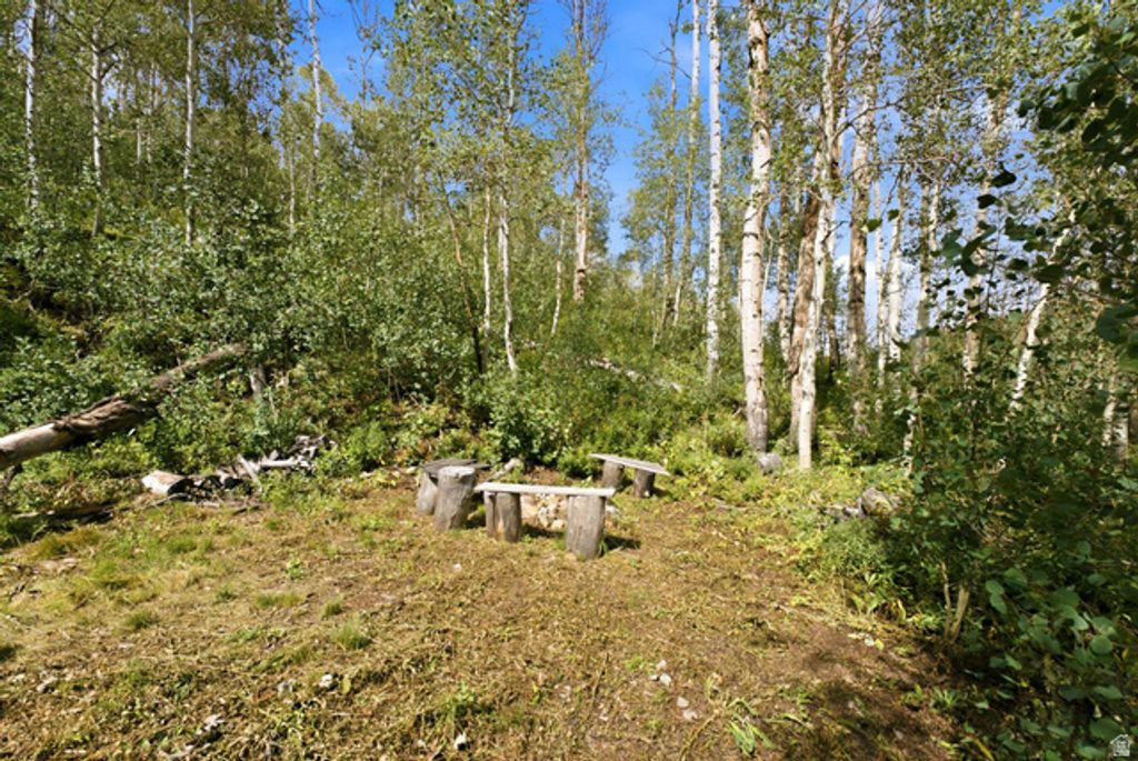 1697 W MARMOT LN, Midway, UT 84049 — photo 5