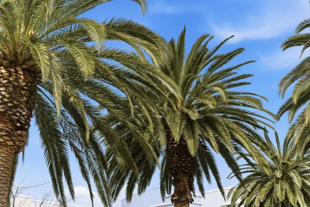 508 Holthouse Terrace, Sunnyvale, CA 94087