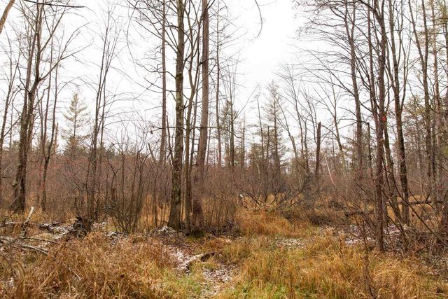 N5301 County Rd Y Road, Montello, WI 53949