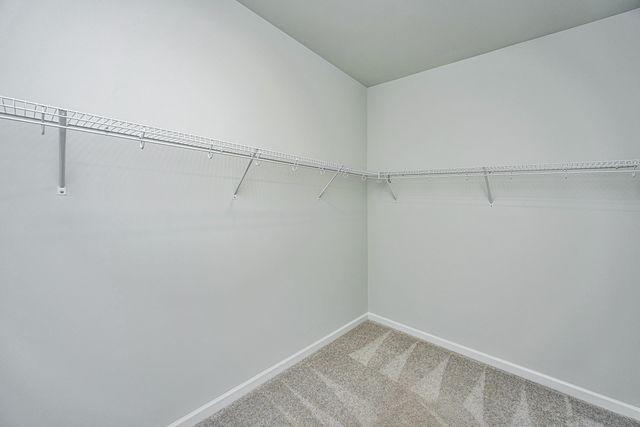 259 Firewheel Court, Summerville, SC 29486