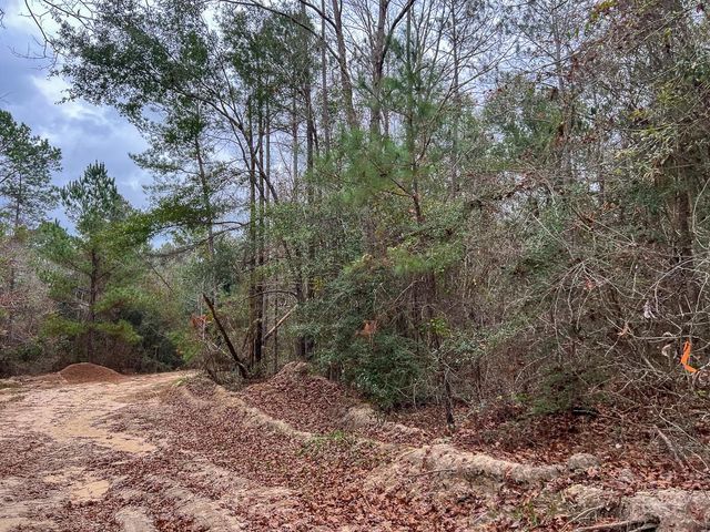 T-2 Highway 190, Newton, TX 75966