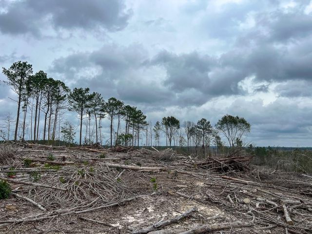 T-2 Highway 190, Newton, TX 75966