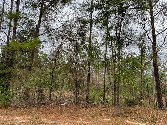 T-2 Highway 190, Newton, TX 75966