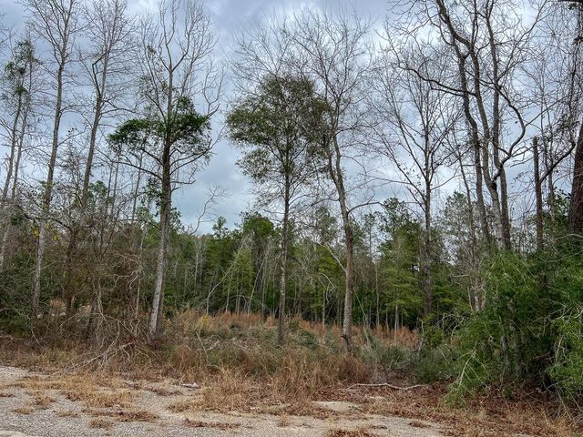 T-2 Highway 190, Newton, TX 75966