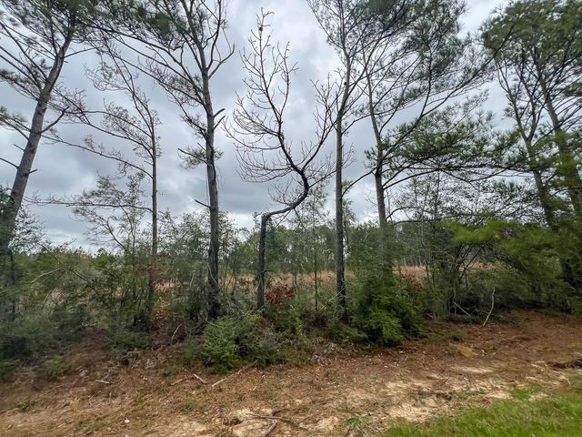 T-2 Highway 190, Newton, TX 75966