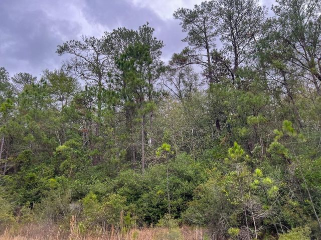 T-2 Highway 190, Newton, TX 75966