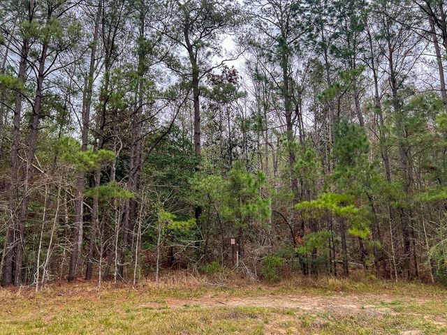 T-2 Highway 190, Newton, TX 75966