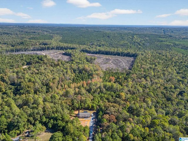 70 COUNTY ROAD 358, Clanton, AL 35045