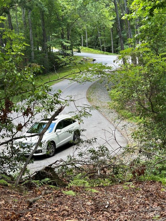 TBD Galvloi Court, Brevard, NC 28712
