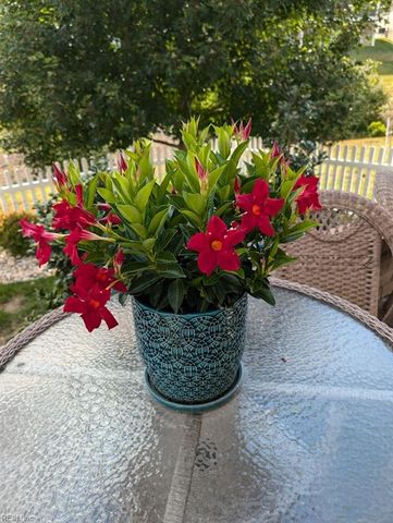 6409 Brightwell CT, Williamsburg, VA 23188