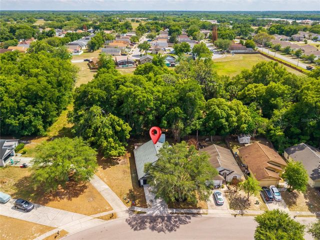 1038 SHEELER HILLS DRIVE, Apopka, FL 32703
