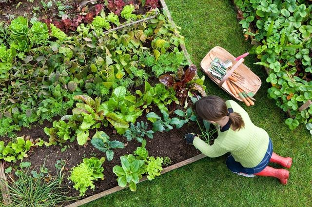 81 Oxbow Road 39-3, Raynham, MA 02767