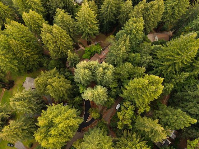 295 Jims Road, Ben Lomond, CA 95005