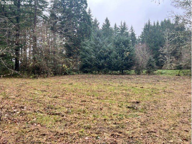 Nw PLAINVIEW Rd, Portland, OR 97231