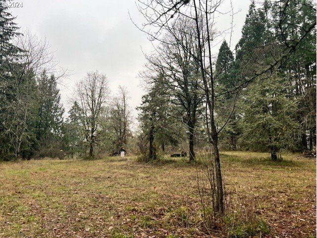 Nw PLAINVIEW Rd, Portland, OR 97231