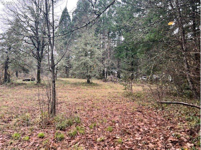 Nw PLAINVIEW Rd, Portland, OR 97231