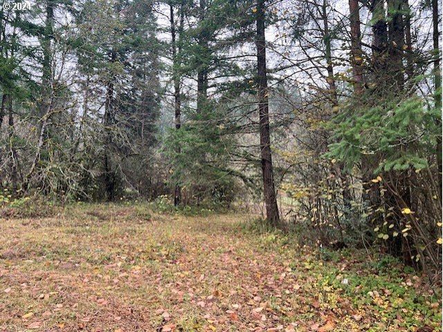 Nw PLAINVIEW Rd, Portland, OR 97231