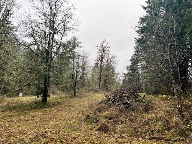 Nw PLAINVIEW Rd, Portland, OR 97231