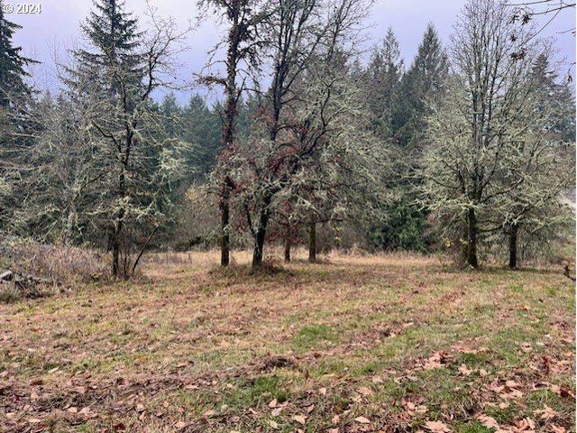 Nw PLAINVIEW Rd, Portland, OR 97231