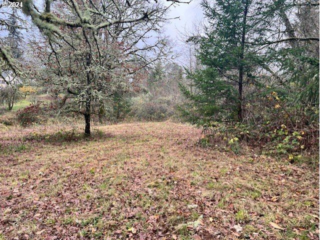 Nw PLAINVIEW Rd, Portland, OR 97231