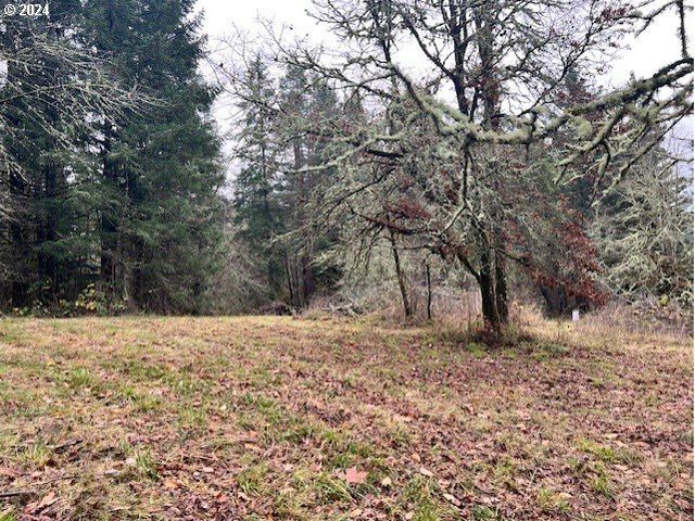 Nw PLAINVIEW Rd, Portland, OR 97231